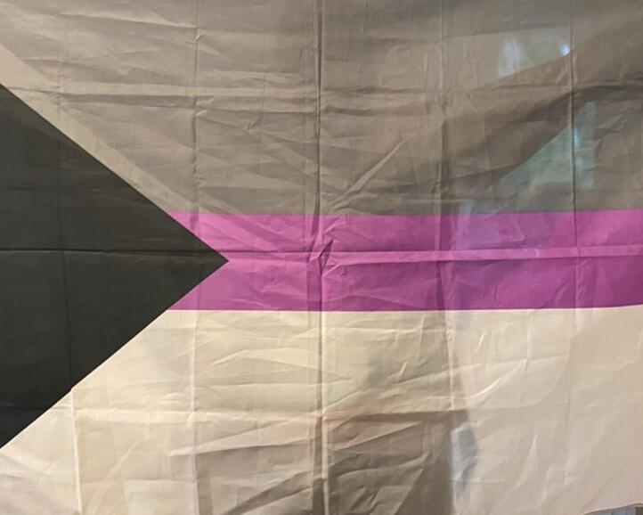 The demisexual flag: A left-aligned black triangle with stripes of grey, purple and white.